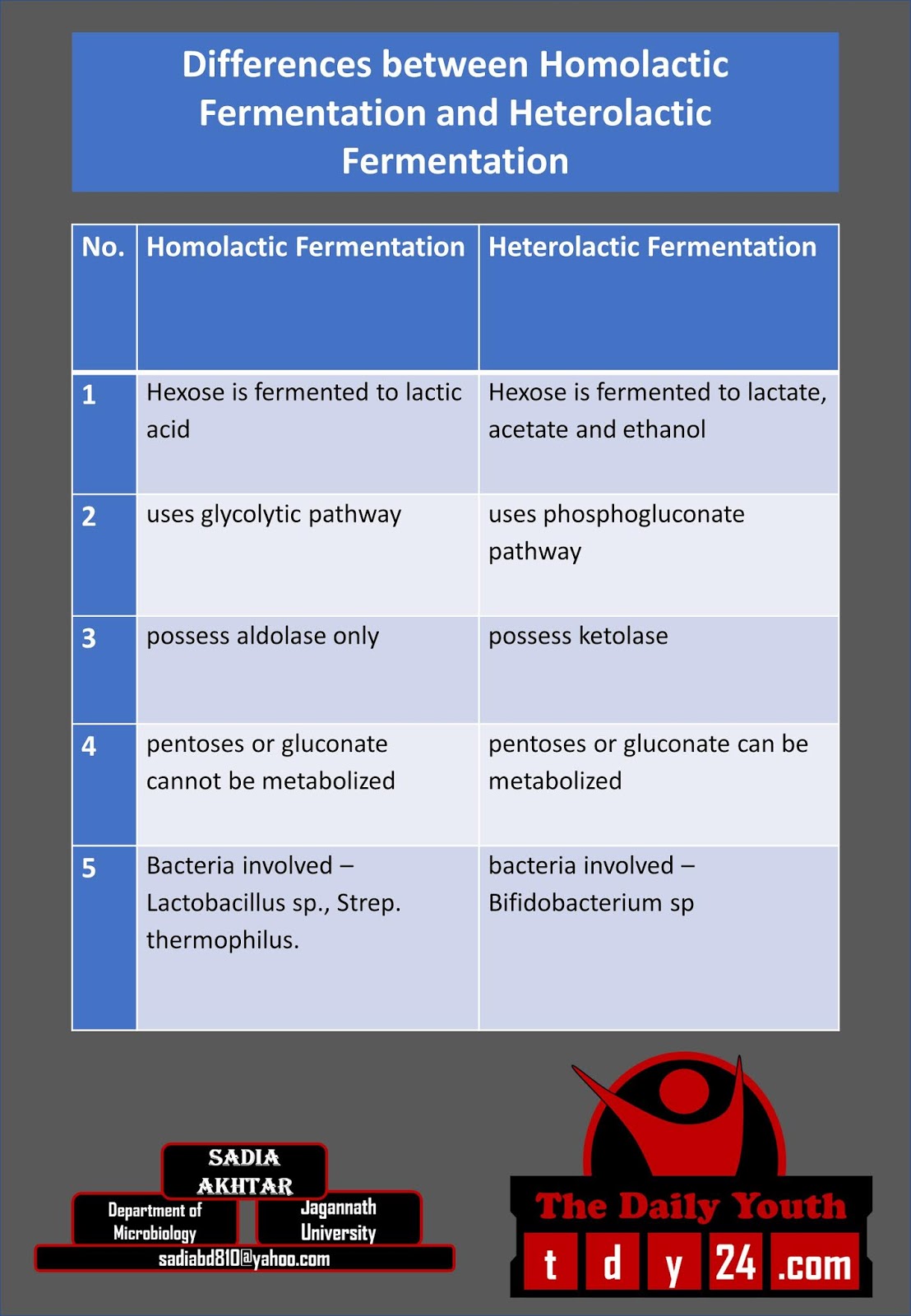 Differences between Homolactic Fermentation and Heterolactic Fermentation