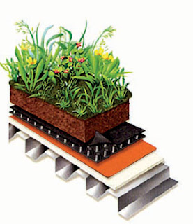 Techos Verdes Uruguay