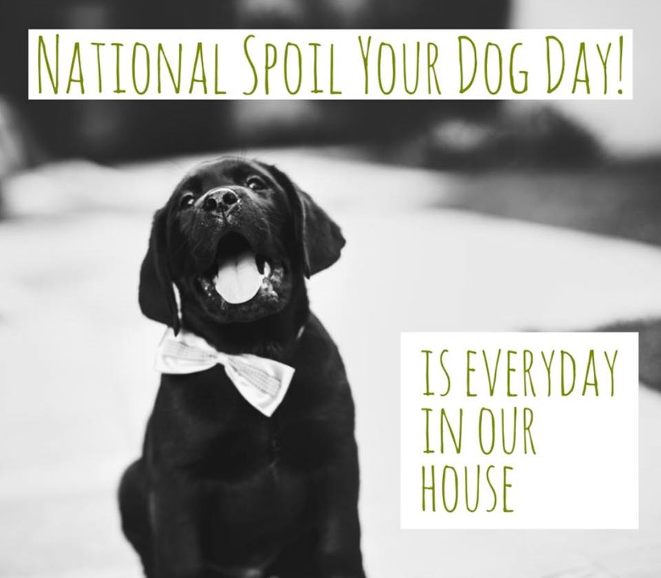 National Spoil Your Dog Day National Spoil Your Dog Day