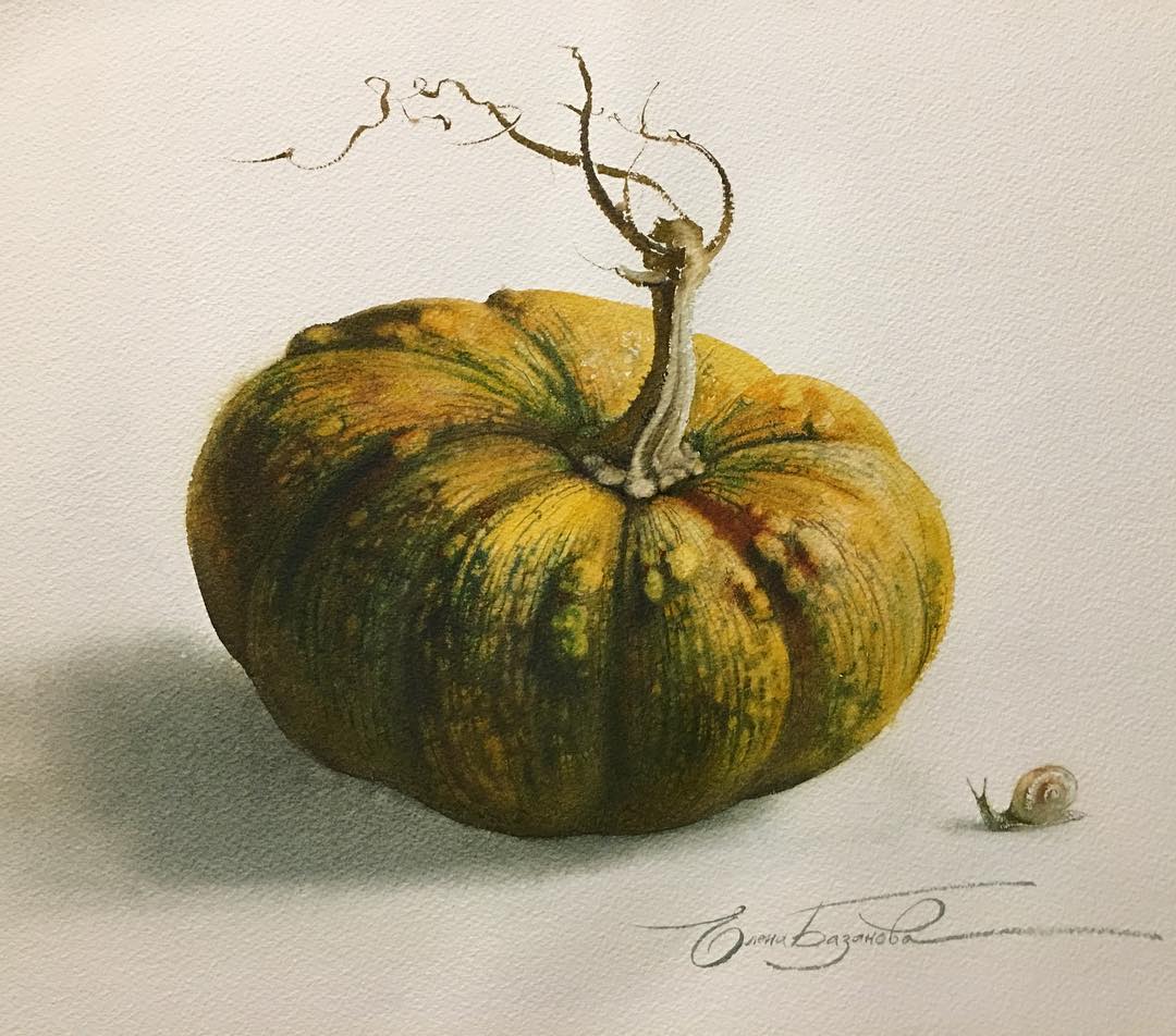 Гербарий кабачок. Botanical illustration тыква. Тыква ботаническая иллюстрация. Тыква ботаническое. Тыква ботаническая иллюстрация.