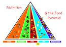 Nutriion Pyramid