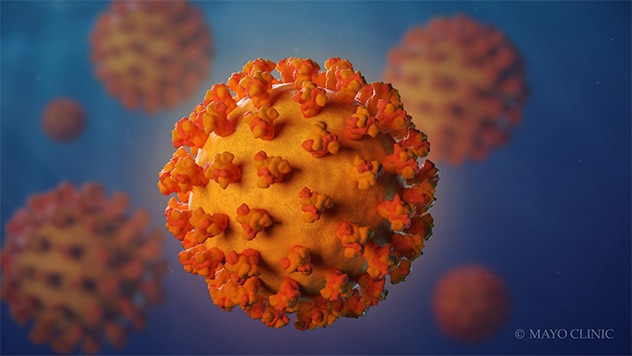  تذكير لبعض المعلومات المهمة مرض فيروس كورونا 2019 (COVID-19)