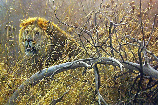 Роберт Бейтмэн / Robert Bateman Encounter in the Bush - African Lions