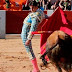 Spanish Supreme Court applies Cofemel and rules that bullfighting cannot be protected by copyright