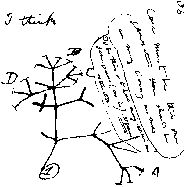 Las teorías de Darwin y el origen de la vida