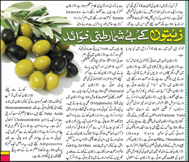Olive oil ky fayde in urdu pdf download - snosmile
