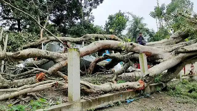 ধুনটে ঝড়ে বাড়িঘর-গাছপালা লন্ডভন্ড