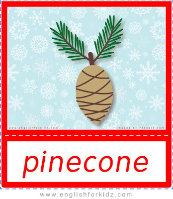 pinecone, Christmas vocabulary flashcards