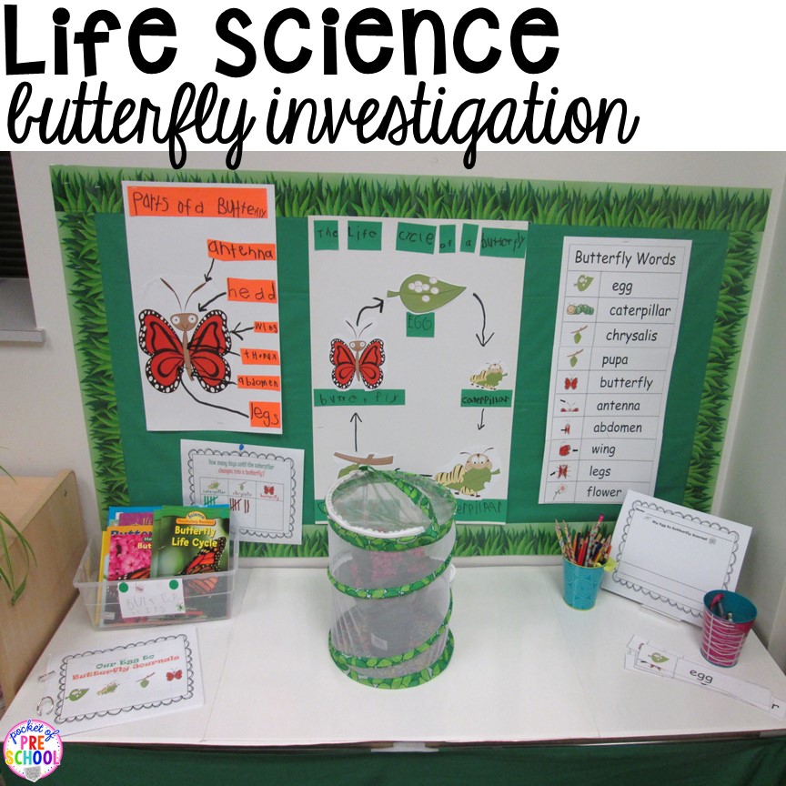 How to set up the Science Center in your Early Childhood Classroom