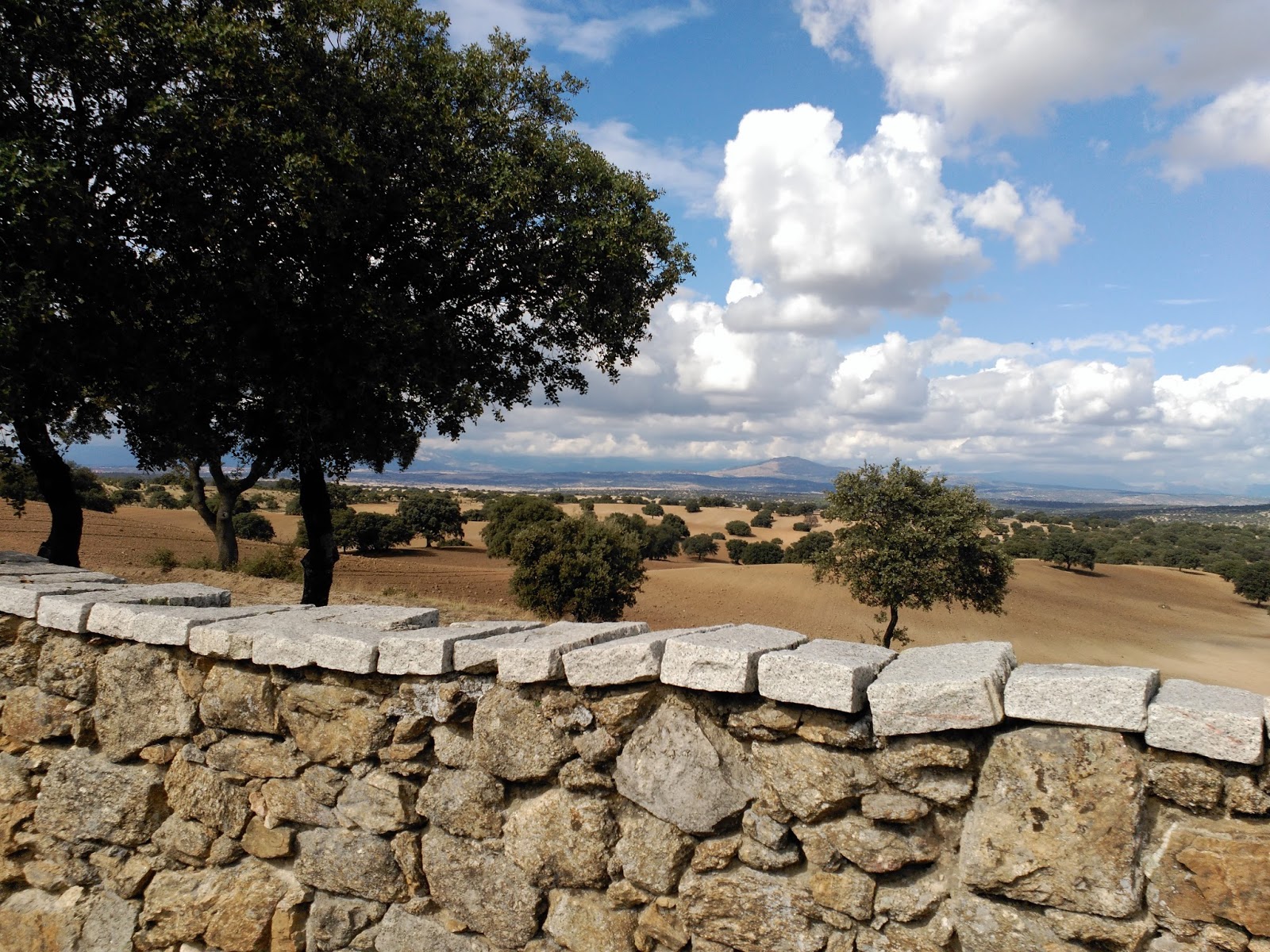 Parque de la Dehesa Boyal (San Sebastián de los Reyes) Mientras soñaba