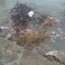 Ιωάννινα:Κάνουν σκουπιδότοπο τη λίμνη