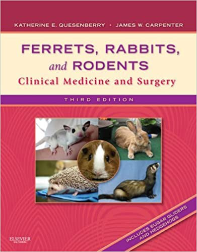 Ferrets, Rabbits, and Rodents Clinical Medicine and Surgery, 3rd Edition
