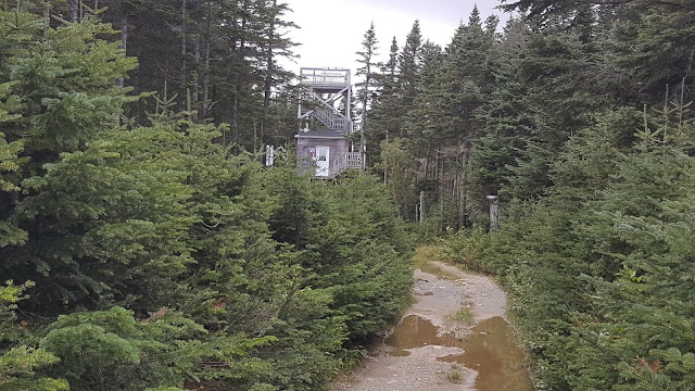 La tour au sommet du mont Saint-Magloire