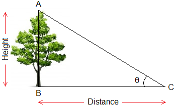 Example of Height and Distance of a tree.