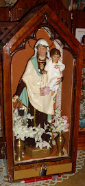 Visita Domiciliaria de la Virgen del Carmen