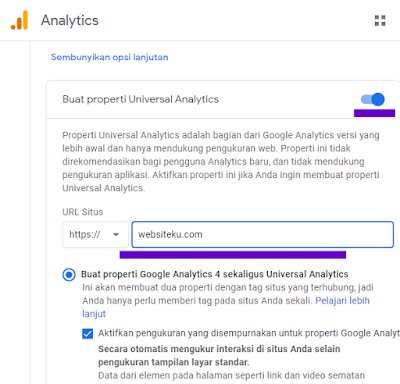 Opsi Lanjutan Google Analytics
