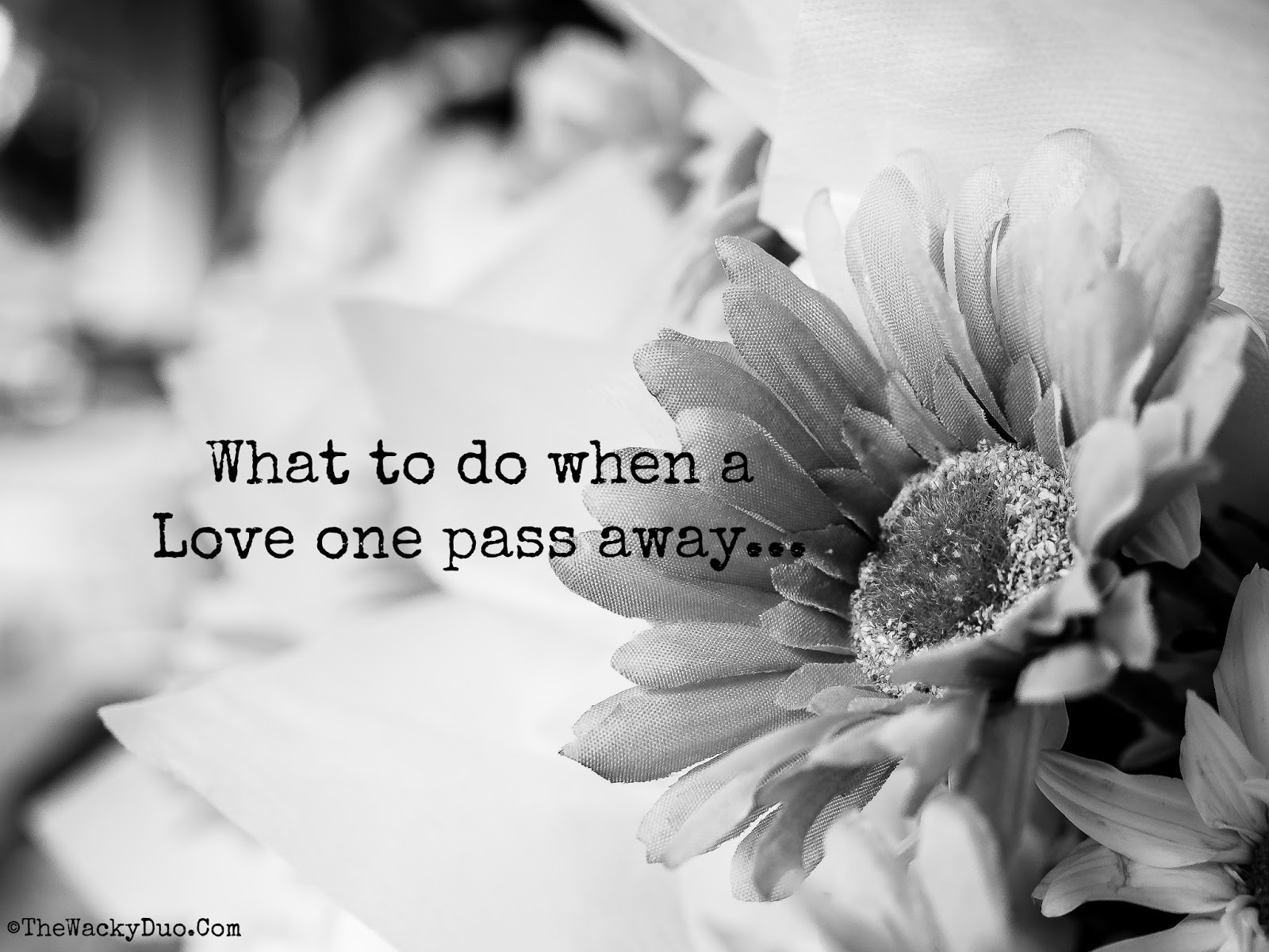 What to do when a love one pass away in Singapore