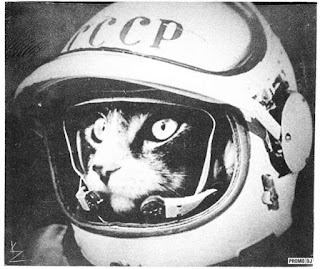 Блог Кота Васьки кошка-космонавт