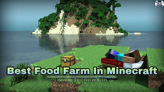 Best Food farm in Minecraft for beginners - AFK farm