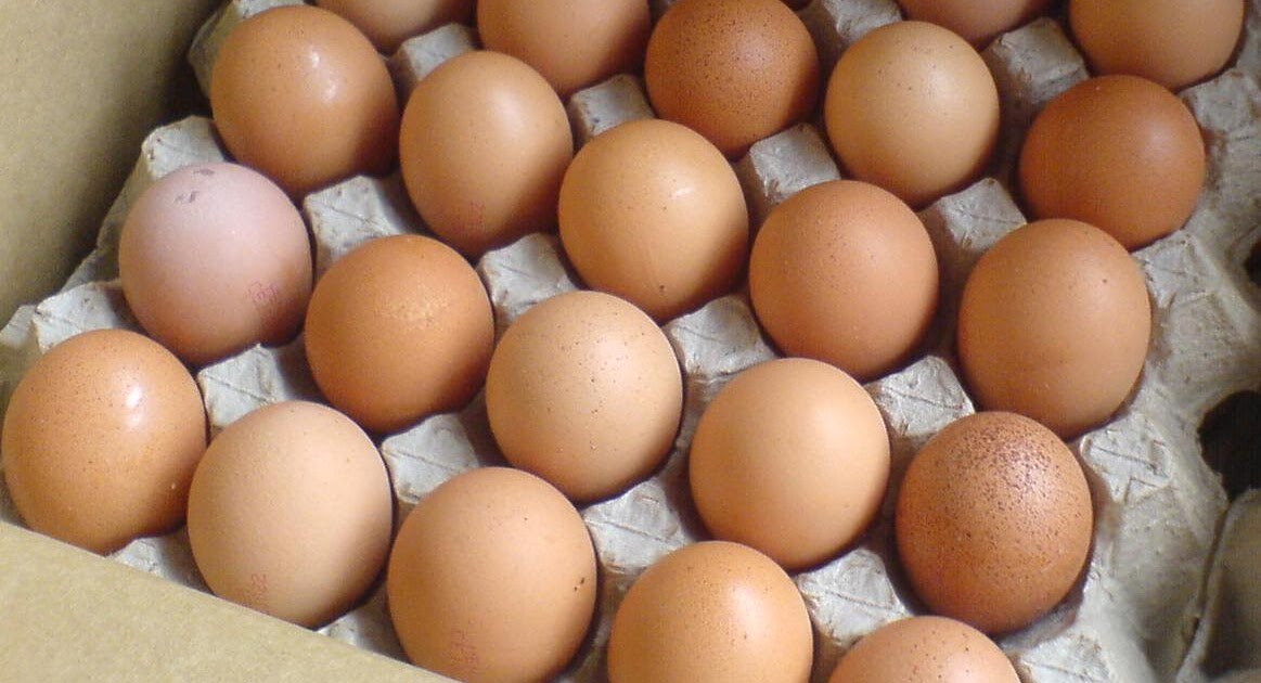 Продаются смесь яичная продаются. Цены на яйца растут.