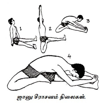 ஈகரை வருகை பதிவேடு  - Page 3 Janu%2Bsirsasana%2BPostur