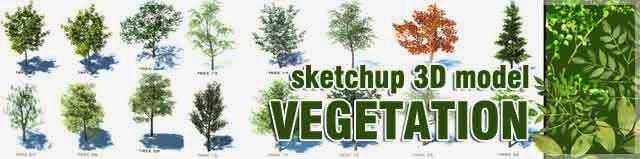 Sketchup Sketchup