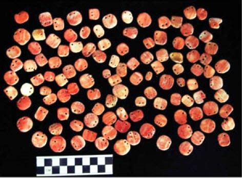 Carved Shell Tokens from El Perú-Waká Burial 37. Photo by Juan Carlos Meléndez 