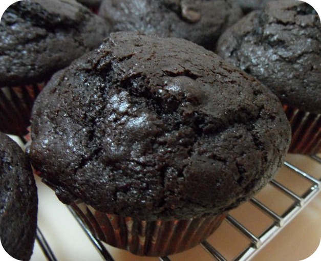 Tasty Domes Dark Chocolate Chips Muffin