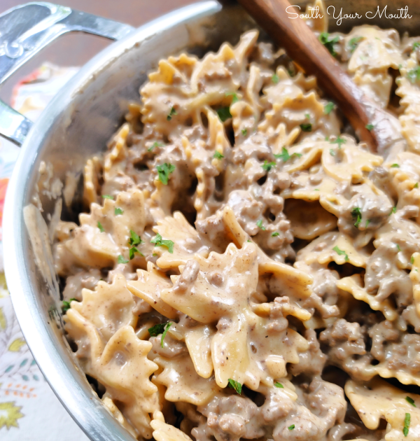 Ground Beef Bow Tie Pasta Stroganoff Barney Withavis bow-tie-pasta-alfredo-easy-meal-recipe-dinner-lunch-party-food