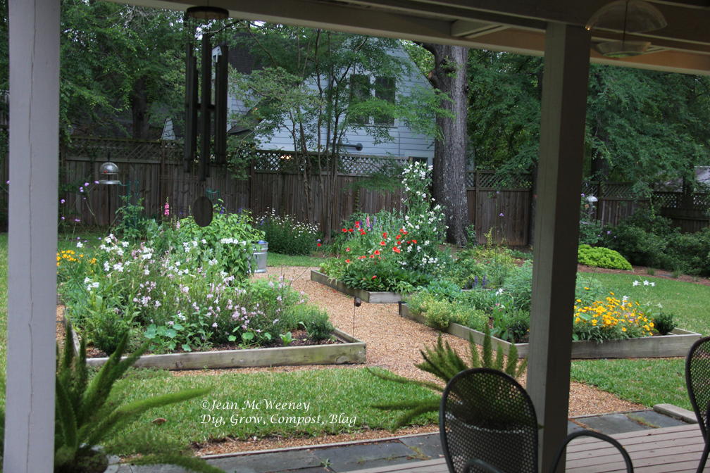 Dig, Grow, Compost, Blog Garden Bloggers Bloom Day, May 2013