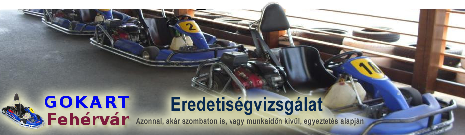 Gokart Fehérvár