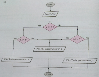 Write pseudocode for following