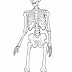 40+ Esqueleto Animado Gif
