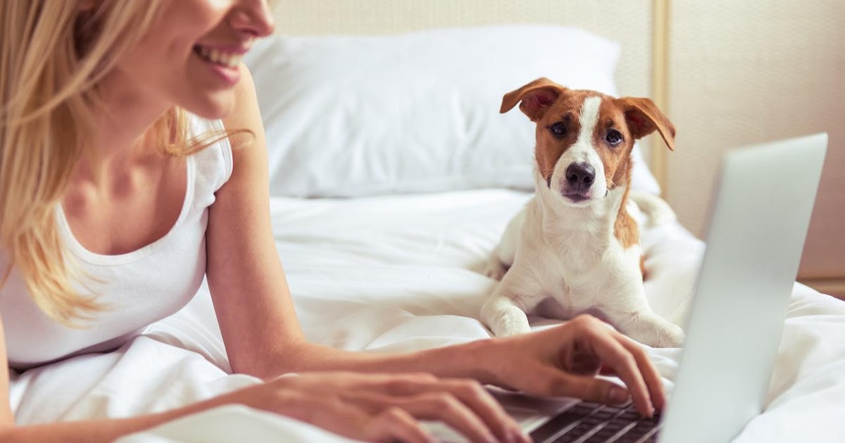 Emotional Support Dog