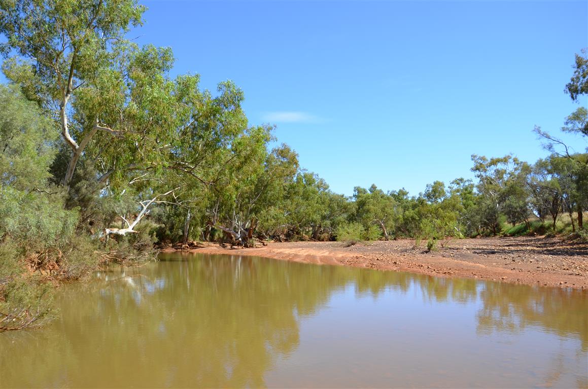 Australien 2013 Mt. AugustusTom Price
