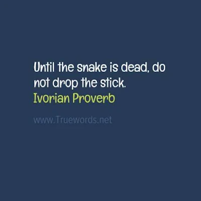 Until the snake is dead, do not drop the stick.