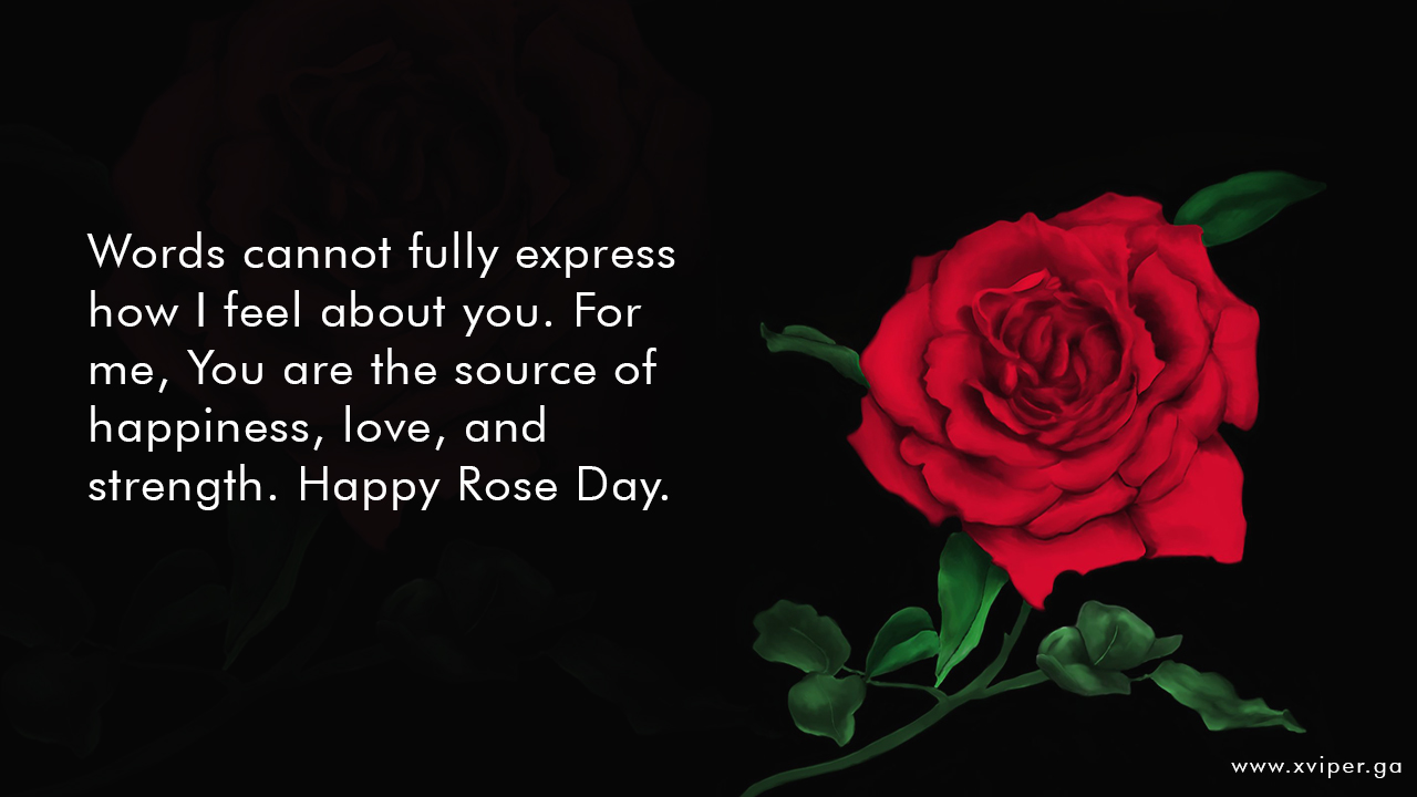 Best (150+) Happy Rose Day Quotes, Status, SMS, Images,Pic (2019)