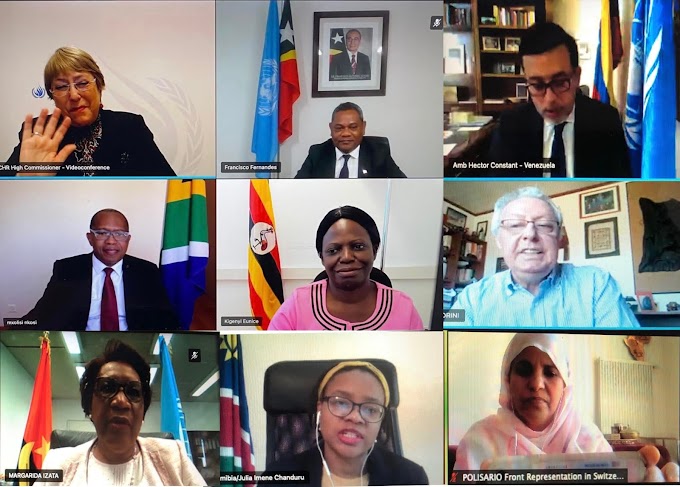 El grupo de Ginebra de Apoyo al Sáhara Occidental se reunió con Michelle Bachelet, Alta Comisionada de la ONU para los Derechos Humanos, para tratar la represión marroquí.