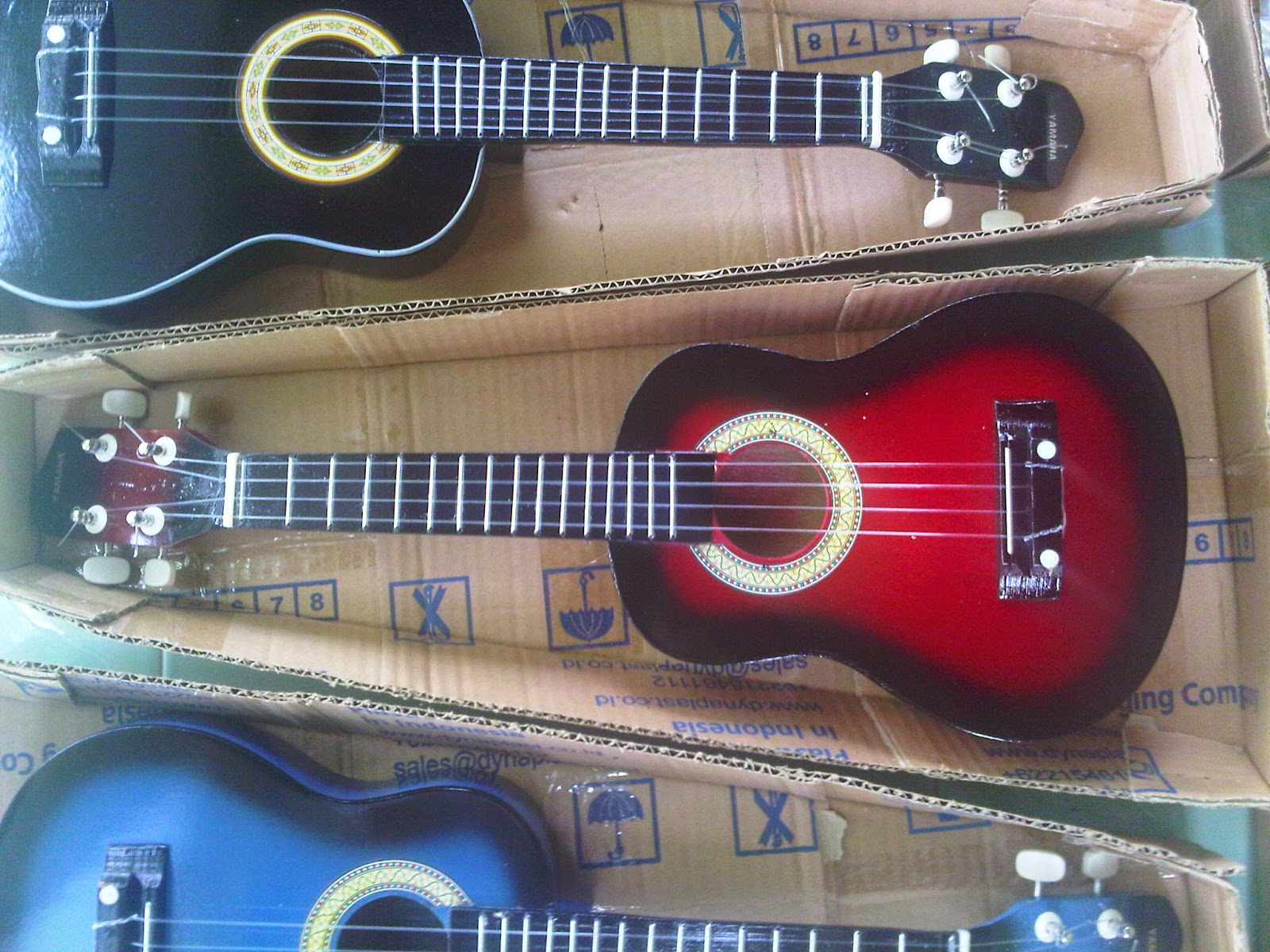Kunci Gitar Reggae Yang Hitam