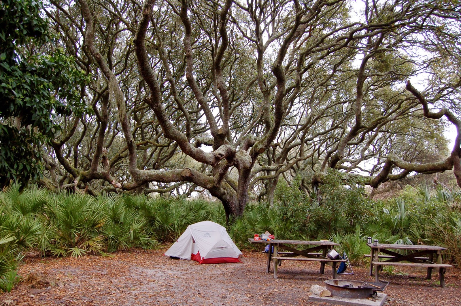 Sea Kayak Stonington Sea Camp, Cumberland Island