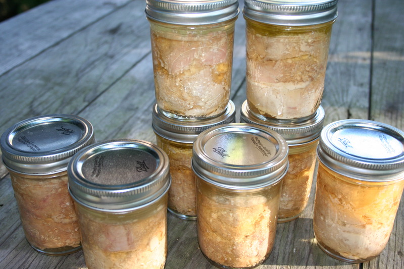 Homemade Tuna in Jar with Delicious Taste Tuna Skipjack Frozen