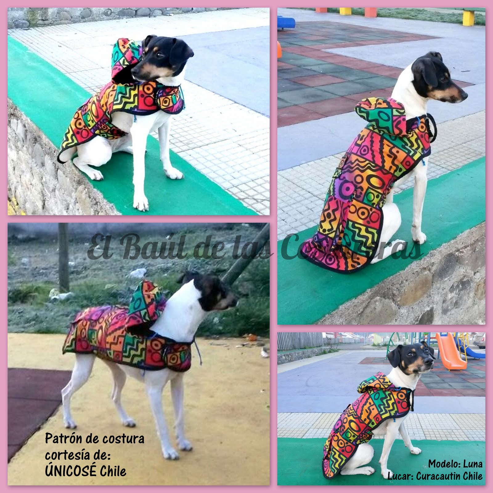 Featured image of post Moldes De Vestidos Para Perros Gratis Para Imprimir C mo hacer un su ter para perro usando una manga de su ter