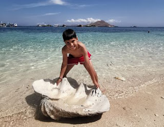 Kanawa Island, Parque Nacional de Komodo, Indonesia. Kanawa Island, Parque Nacional de Komodo, Indonesia.