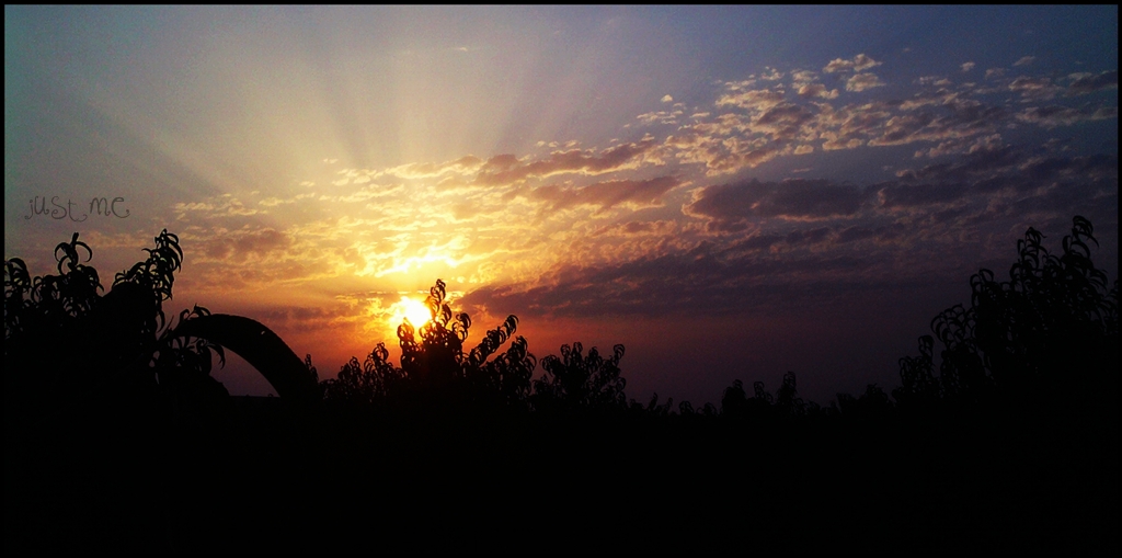 Addicted to&hellip;: Good morning sunshine, my only sunshine