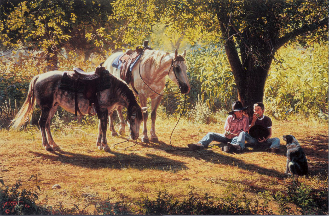 Na Sombra - Tim Cox Pinturas de Tim Cox | O Pintor de Cavalos