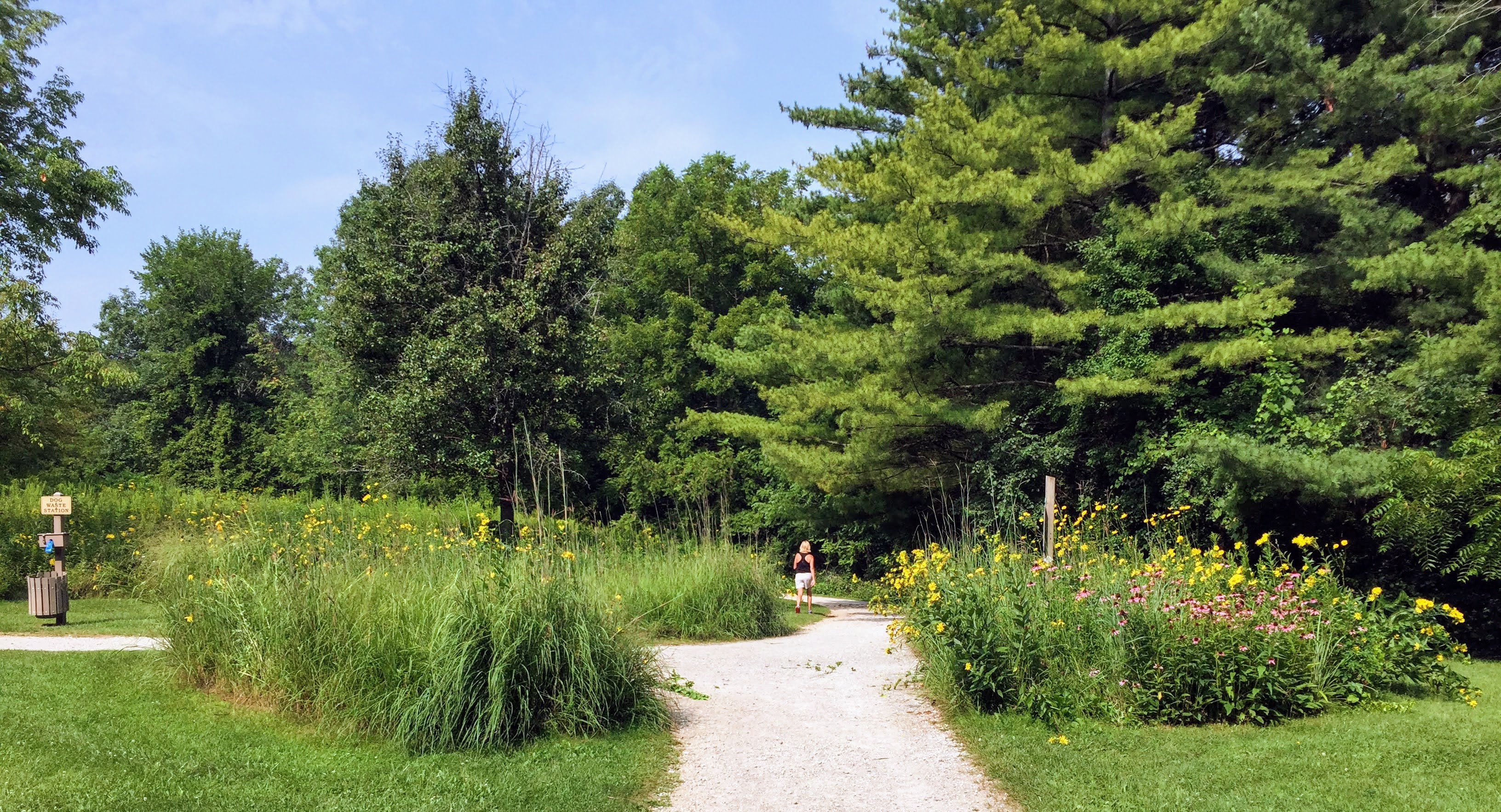 Princeton Nature Notes My First Public Plantinga Prairie Circle in