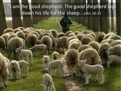 HOW IN THE WORLD!!: I Am The Good Shepherd (John 10:11-23 ...