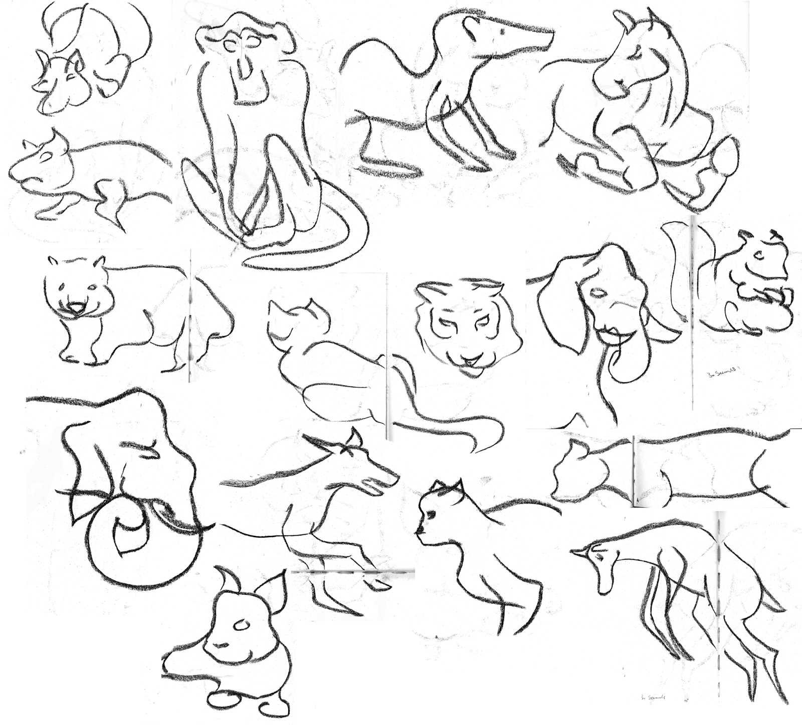 Honours Blog: 30 Second Animal Sketches part 2