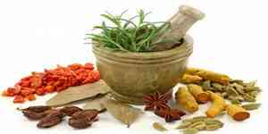 Traditional Herbs to Boost the Body's Immune