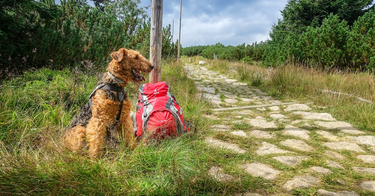 Proline Pxv Bp Felgenoutlet De